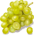 0200wvvm-ef82-116x119.png