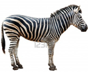 0200wvz9-d847-129x106.png