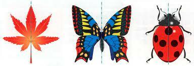 0200ww5u-ce22-384x131.jpg