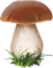 0200wytt-96eb-48x62.png