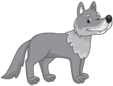 0200wzuw-8885-226x172.png