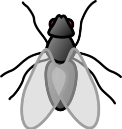 0200x07l-cc49-248x262.png