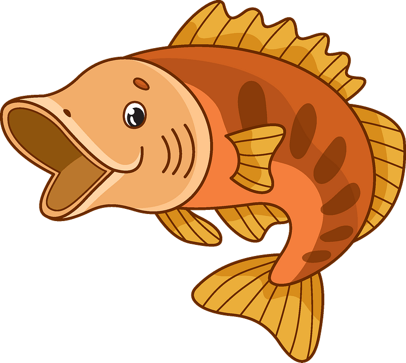 0200x08t-416f-800x716.png
