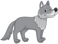 0200x0b8-3369-224x171.png