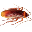 0200x1np-1106-241x241.png