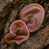 0200x3rw-f723-160x160.png