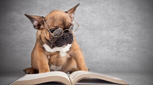 Control Reading 