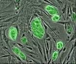 0200x5j4-eb16-156x132.jpg