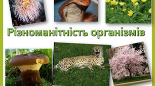  Різноманіття організмів. 5 клас