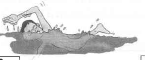 0200x6ns-287d-145x60.png