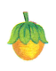 0200x774-d262-63x80.png