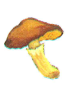 0200x77j-eeac-75x92.png
