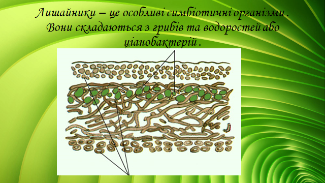 0200x8fm-6a54-640x360.png