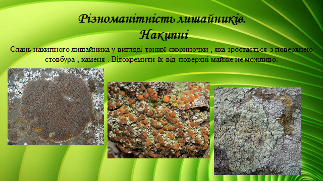 0200x8fp-9326-640x360.png