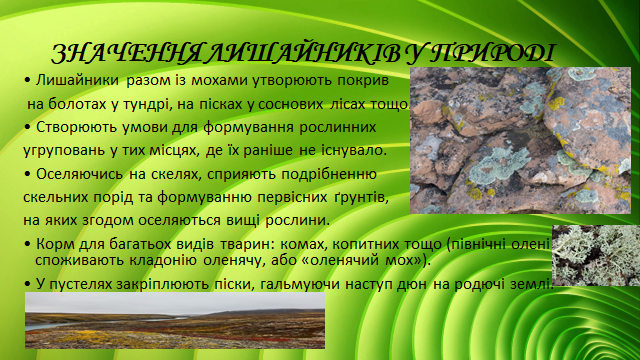 0200x8ht-08bb-640x360.png