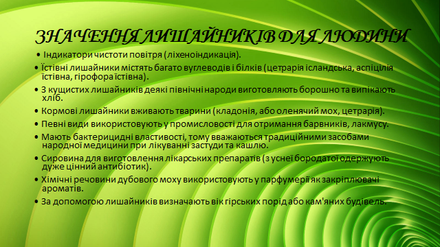 0200x8i1-755d-640x360.png