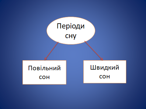 0200x90y-e146-480x360.png
