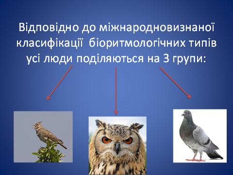 0200x92q-8b3b-480x360.png