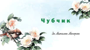 Чубчик. За Миколою Магерою