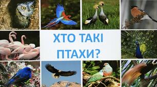 Хто такі птахи?