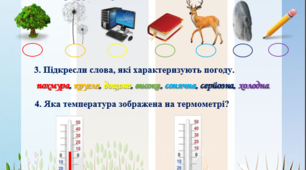 Діагностична робота з ЯДС "Я пізнаю природу" (М. Вашуленко)
