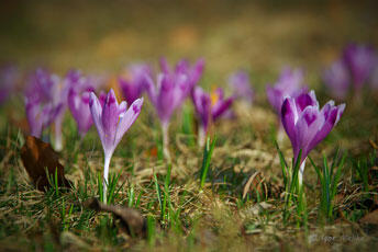 0200xel6-2f5b-344x230.jpg