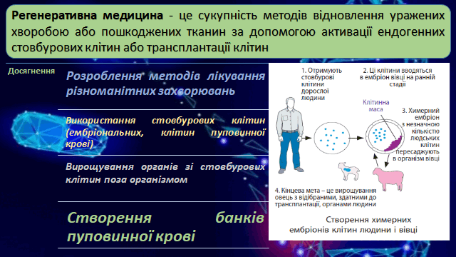 0200xf0z-5128-640x360.png