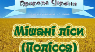 (Копія) Природні зони України. Мішані ліси 