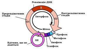0200xfg4-54be-328x188.jpg