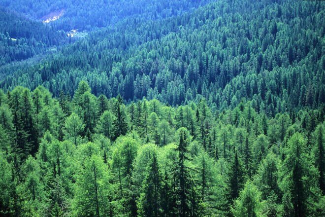 0200xfgg-ecff-752x501.jpg