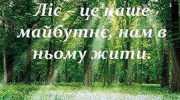 Значення та охорона лісу