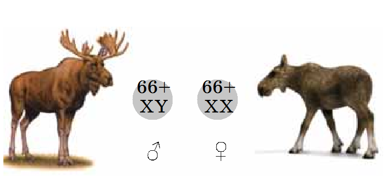 0200xfs3-d5e0-794x363.png