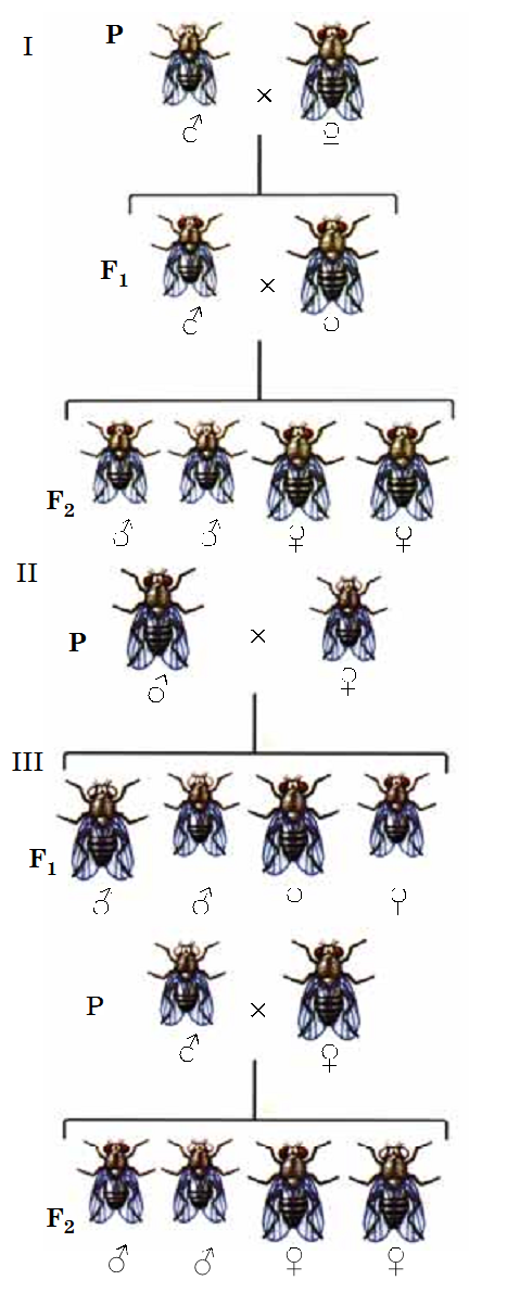 0200xg0q-d69c-467x1191.png