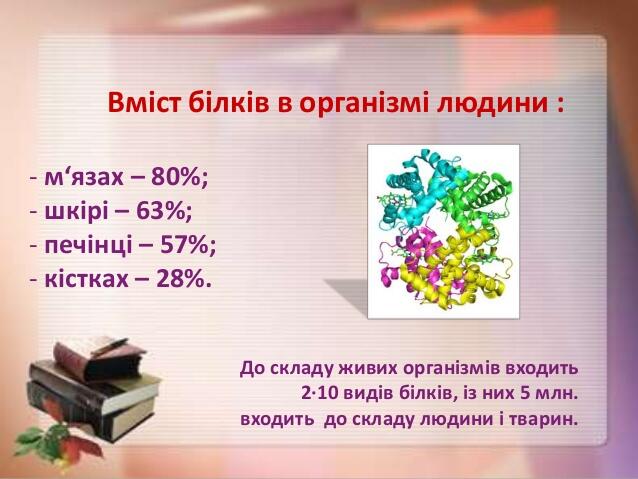 Новік т. а. презентація до уроку Амінокислоти. Будова та властивості…