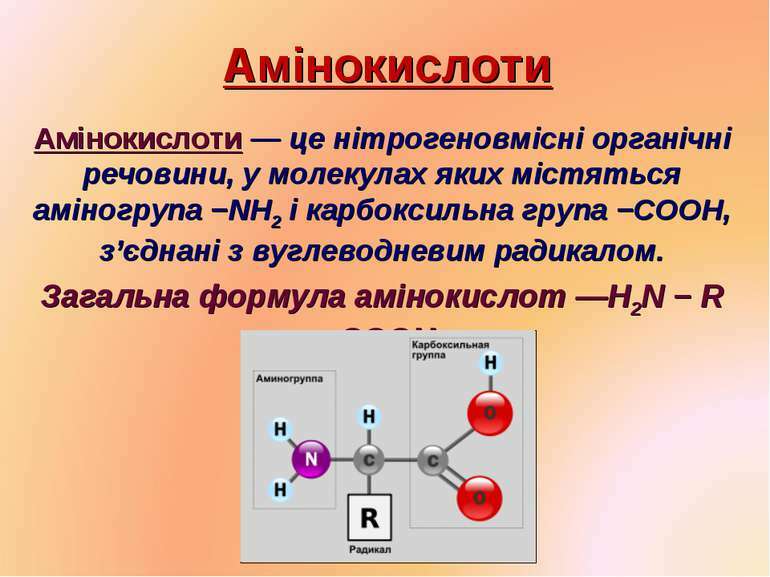 Амінооцтова кислота. Її будова і властивості - презентація з хімії