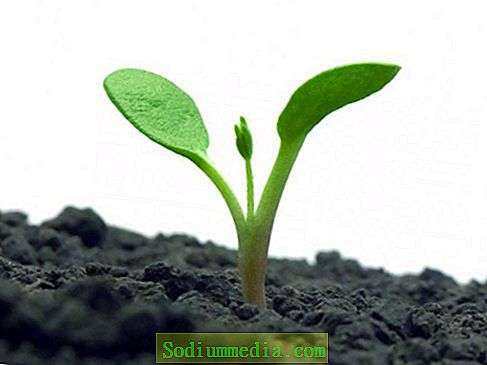 0200xhcn-f0b2-487x365.jpg