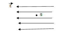 0200xhou-021d-248x133.png