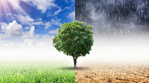 Wie wird das Wetter? Wir und die Natur  (7. Klasse)