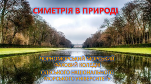 Виступ на конференції "Симетрія в природі".