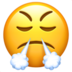 Face with Steam From Nose