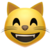Grinning Cat with Smiling Eyes