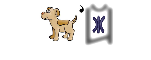 0200xk92-0e95-624x248.png