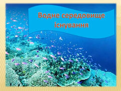 0200xldv-c80b-700x525.jpg