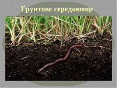 0200xldz-bc0d-322x242.jpg