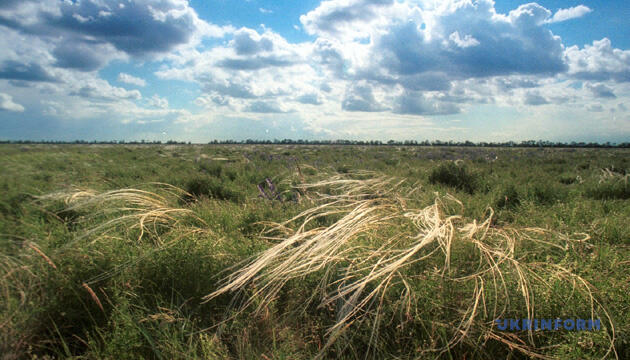 0200xlfy-8d18-630x360.jpg