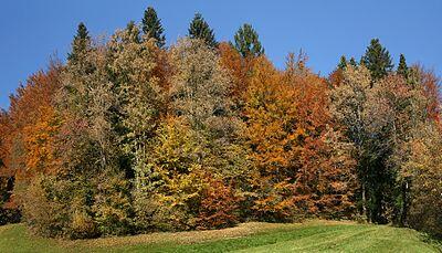 0200xlgf-6cf0-400x229.jpg