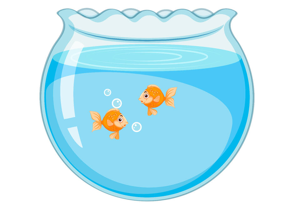 0200xm33-1e1c-940x664.jpg