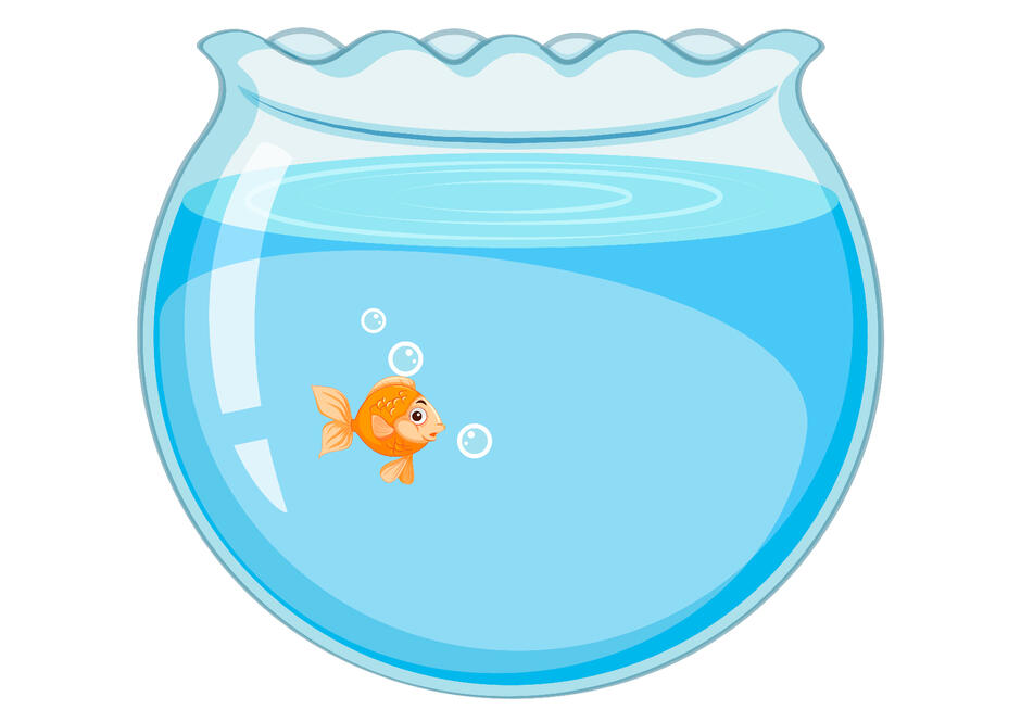 0200xm3t-a677-940x665.jpg