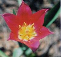 0200xngq-4364-200x188.jpg