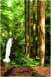 0200xnpw-c9a5-198x298.png